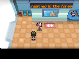 Pokemon Black White Walkthrough