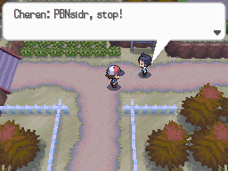 Pokemon Black White Walkthrough