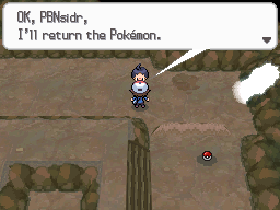 Pokemon Black White Walkthrough