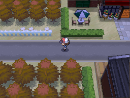 Pokemon Black White Walkthrough