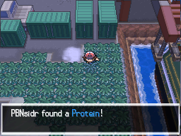 Pokemon Black White Walkthrough