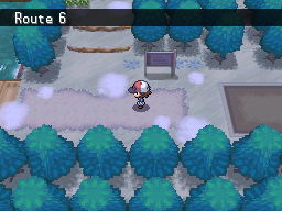 Pokemon Black White Walkthrough