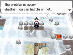 Pokemon Black White Walkthrough