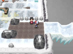 Pokemon Black White Walkthrough