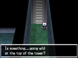 Pokemon Black White Walkthrough