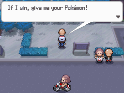 Pokemon Black White Walkthrough