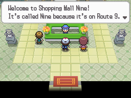 Pokemon Black White Walkthrough