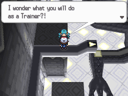 Pokemon Black White Walkthrough