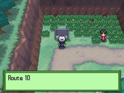 Pokemon Black White Walkthrough