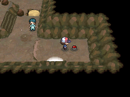 Pokemon Black White Walkthrough