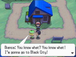 Pokemon Black White Walkthrough