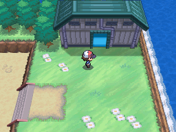 Pokemon Black White Walkthrough