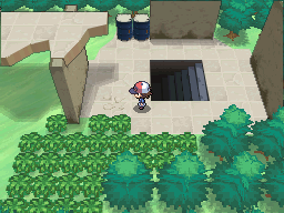 Pokemon Black White Walkthrough