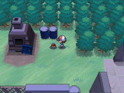 Pokemon Black White Walkthrough