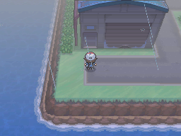 Pokemon Black White Walkthrough