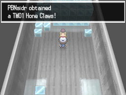 Pokemon Black White Walkthrough