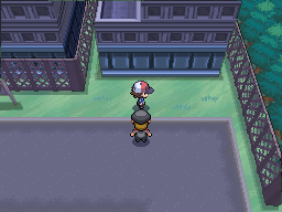 Pokemon Black White Walkthrough