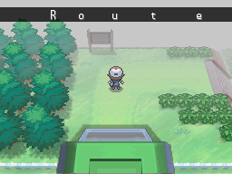 Pokemon Black White Walkthrough