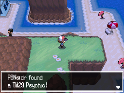 Pokemon Black White Walkthrough