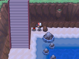 Pokemon Black White Walkthrough