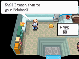 Pokemon Black White Walkthrough