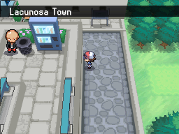 Pokemon Black White Walkthrough