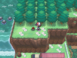 Pokemon Black White Walkthrough