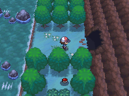 Pokemon Black White Walkthrough