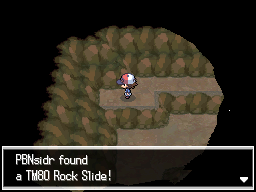 Pokemon Black White Walkthrough