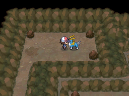 Pokemon Black White Walkthrough