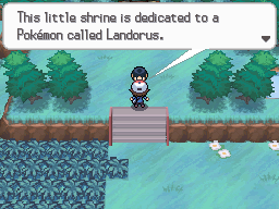 Pokémon Black White Landorus