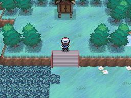 Pokemon Black White Walkthrough