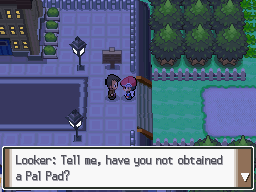 Pokemon Platinum Looker