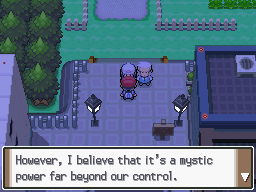 Pokemon Platinum Rowan Dialogue