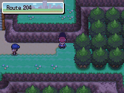 Platinum Route 204