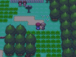 Pokemon Platinum Floarama Town Entrance