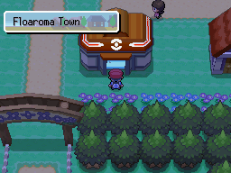 Pokemon Platinum Floaroma Town Flowers