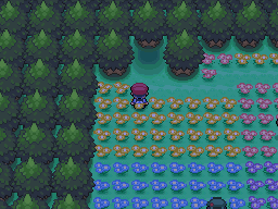 Pokemon Platinum Flower Field