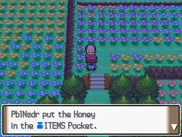 Pokemon Platinum Honey Field