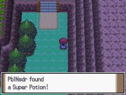 Pokemon Platinum Eterna Forest Entrance