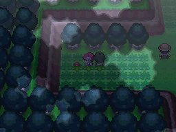 Pokemon Platinum Eterna Forest Exit