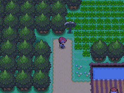 Pokemon Platinum Precursor to Eterna City