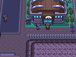 Platinum Grass Gym Entrance