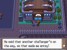 Pokemon Platinum Eterna Gym