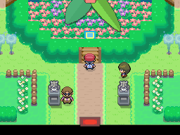 Pokemon Platinum Grass Gym Interior