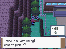 Pokemon Platinum Razz Berry