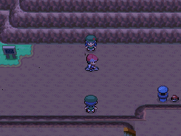 Pokemon Platinum Route 207