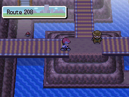 Pokemon Platinum Route 208