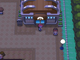 Pokemon Platinum Hearthome Gym