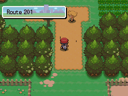 Pokemon Platinum Route 201